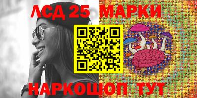 спайс Гатчина