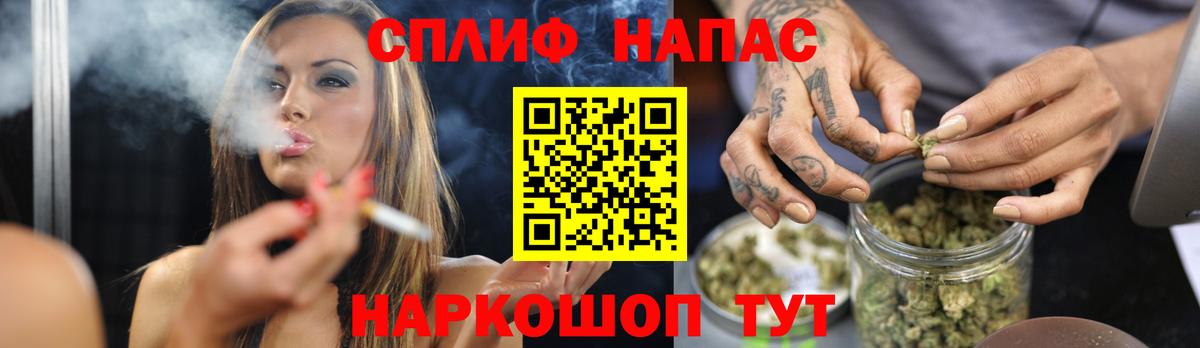 Марихуана план  Шишки марихуана SATIVA & INDICA  Бошки Шишки планчик  Россия  Вход с VPN  Бошки Шишки ГИДРОПОН 